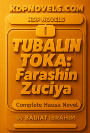 TUBALIN TOKA Farashin Zuciya by BADIAT IBRAHIM