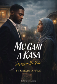 Mu Gani A Ƙasa Soyayyar Ba Zato by UMMU AFFAN